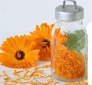 teinture de calendula de l'acné