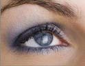 maquillage pour les yeux gris