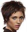 visage triangulaire